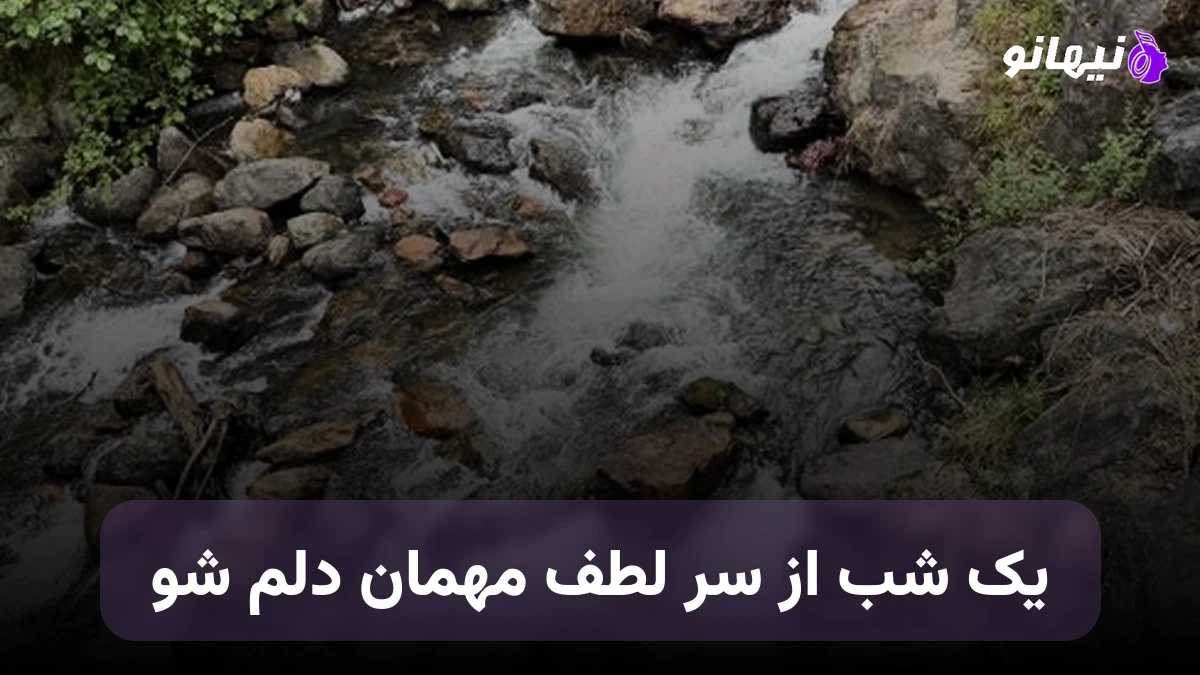 دانلود آهنگ یک شب از سر لطف مهمان دلم شو صدای زن